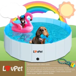LOVPET® Faltbarer Hundepool Schwimmbecken Für Große & Kleine Hunde, Inkl. Hundespielzeug Faltbare Hunde Pools Planschbecken Für Kinder Und Hunde, Hundebadewanne Hundebad -Buschbeck Geschäft 8600364700 22845 prod 003 scaled